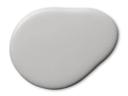 Homeowner_Shimmer_Dolphin