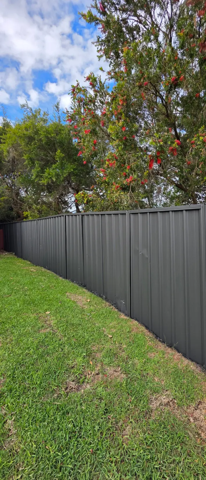 Monument fence along a sloping lawn under a flowering bottlebrush tree