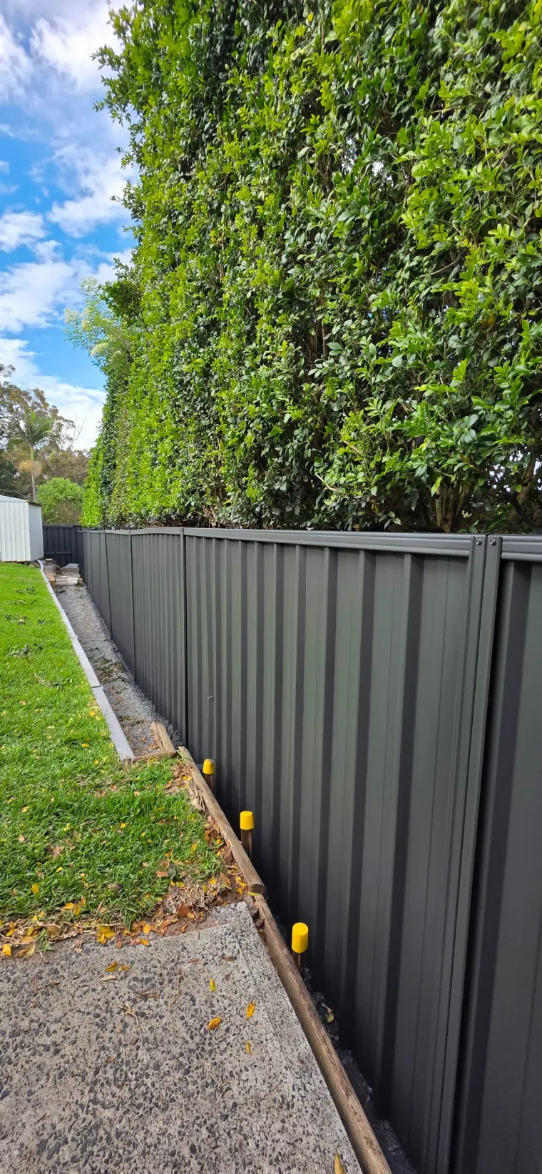 Monument fence running along a hedge and garden path