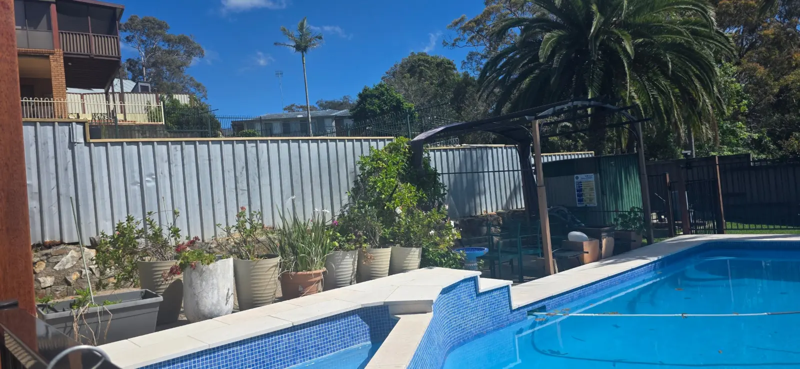 Bare galvanised fence behind a backyard pool in Jewells before painting