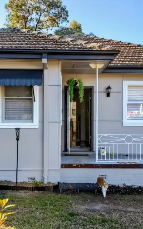 painters in newcastle